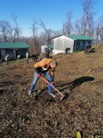 СЕКЦИЈА МЛАДИХ САВЕЗА САМОСТАЛНИХ СИНДИКАТА БЕОГРАДА АКЦИЈА ПОШУМЉАВАЊА НА АВАЛИ
